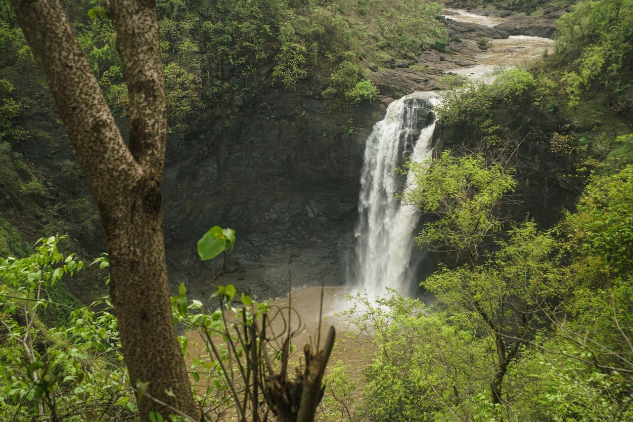 Sterling Nature Trails Dabhosa , Jawahar Birjpara Eksteriør billede