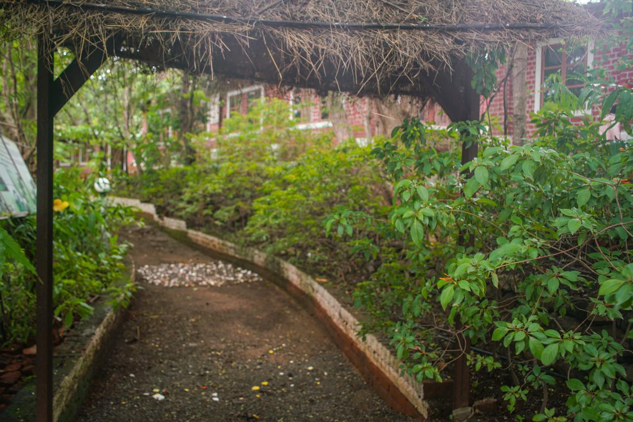 Sterling Nature Trails Dabhosa , Jawahar Birjpara Eksteriør billede