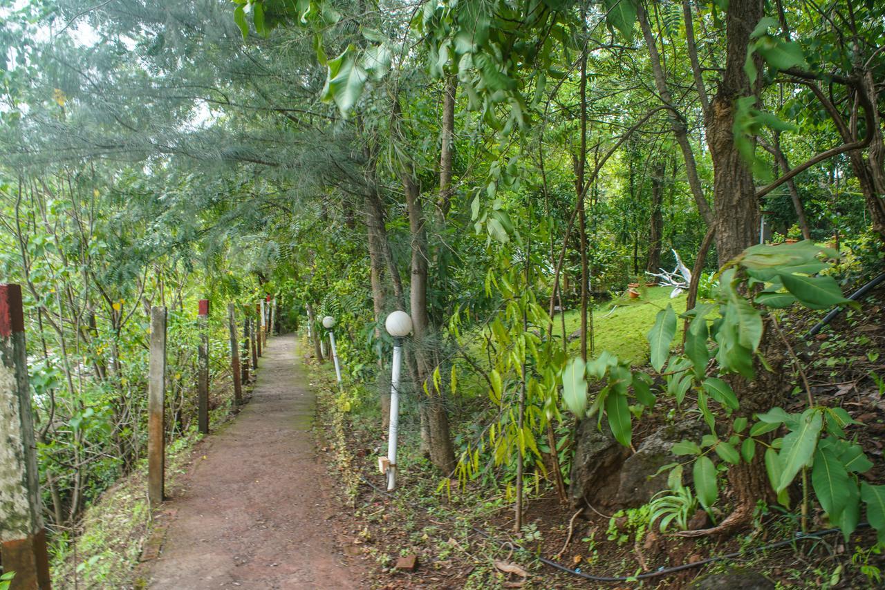 Sterling Nature Trails Dabhosa , Jawahar Birjpara Eksteriør billede